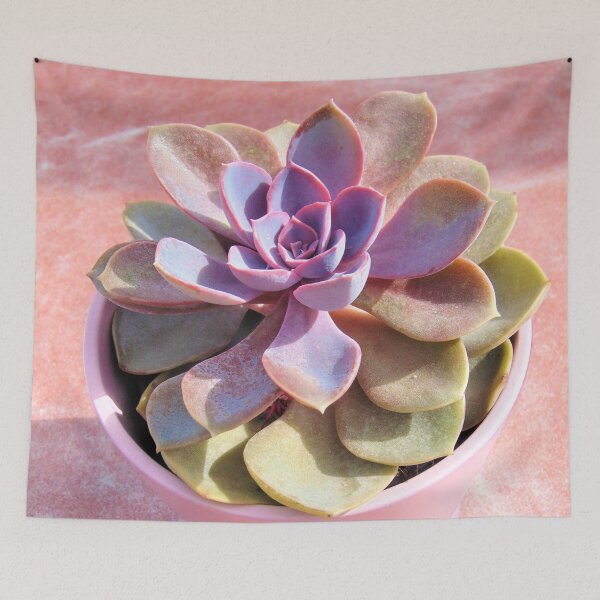 Item preview, Cute Pink Succulent designed and sold by hearthearts.