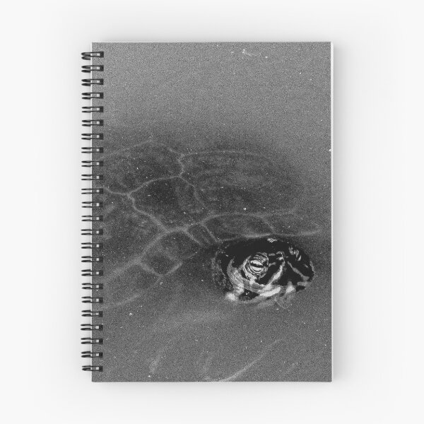 Item preview, Little Water Turtle designed and sold by Graograman.