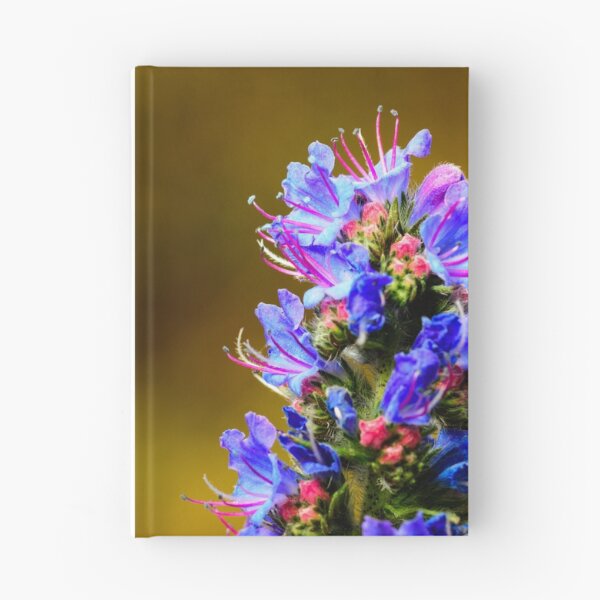 Item preview, Blue Wildflower- Viper's Bugloss designed and sold by Ryan  Ten.
