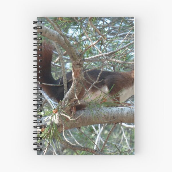Item preview, La Mata Dune Park designed and sold by Janone.