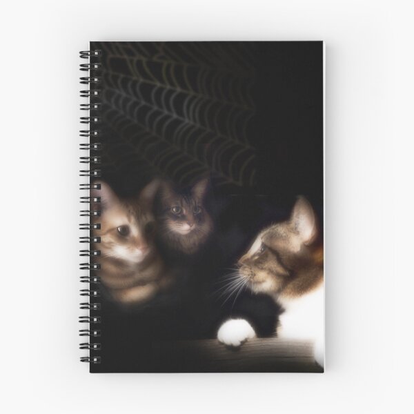Item preview, Midnight Plot designed and sold by Christina Brundage.