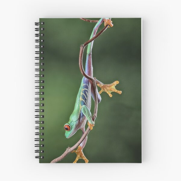 Item preview, Full Stretch designed and sold by Val Saxby.