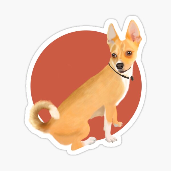 Cute Chihuahua Breed art Sticker