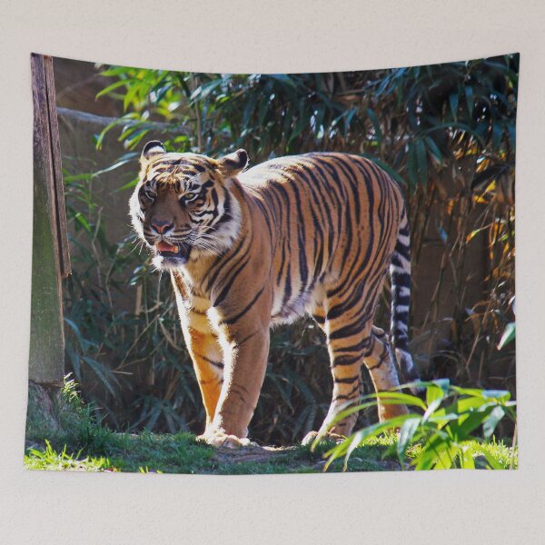 Item preview, Tiger on the Prowl designed and sold by Brittany Bishop.