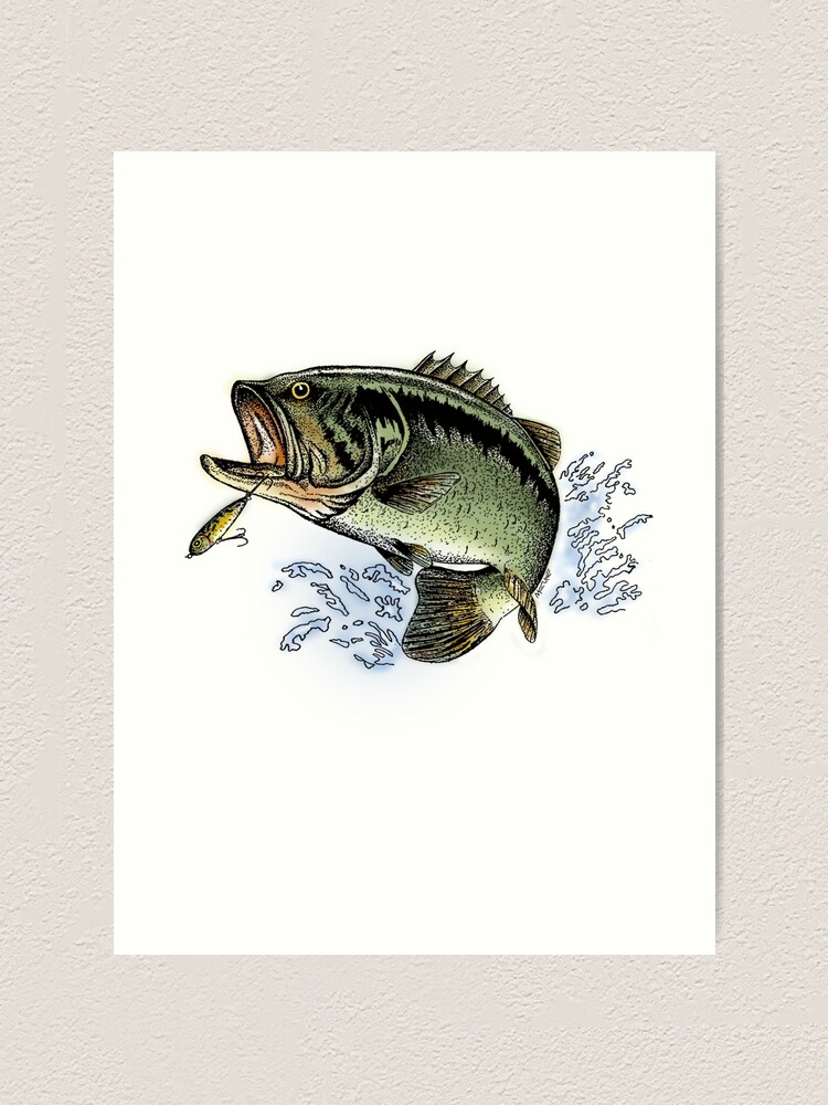 Largemouth Bass jumping out of the water Art Print for Sale by Pixelmatrix