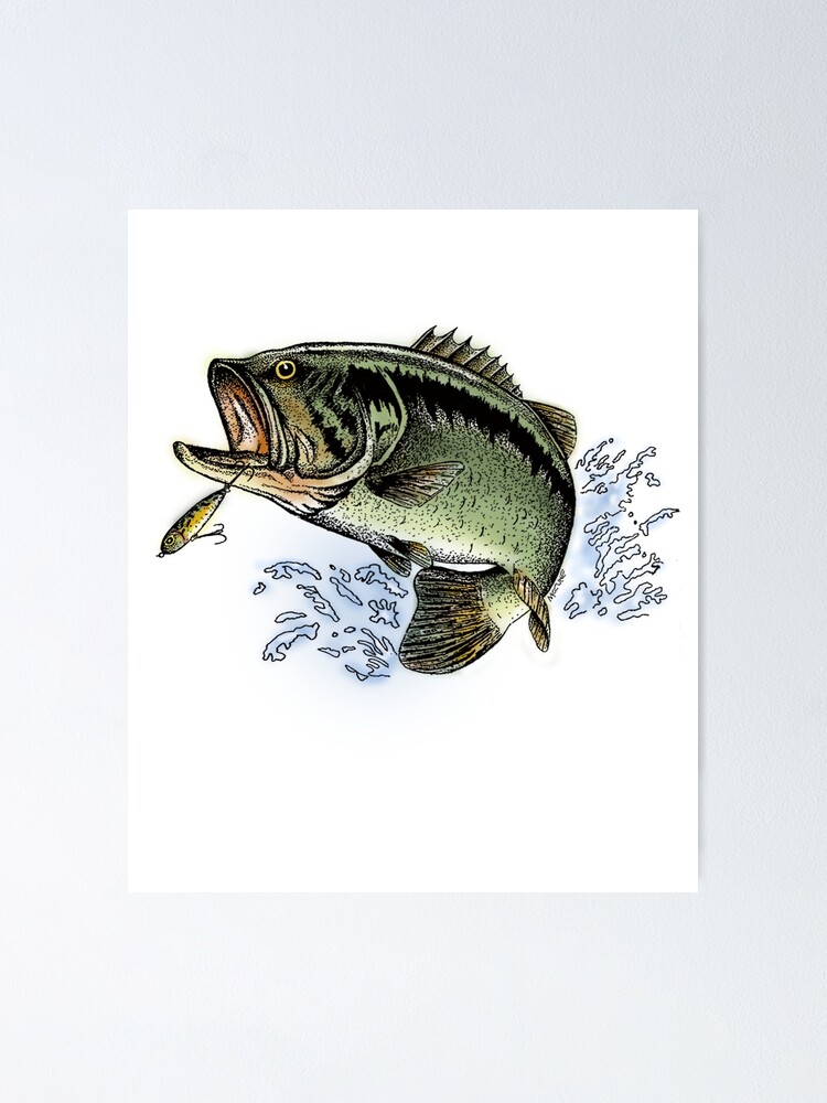 Largemouth Bass jumping out of the water Poster for Sale by