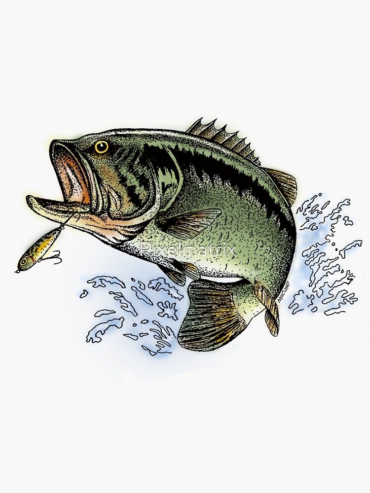 Largemouth Bass jumping out of the water Sticker for Sale by Pixelmatrix