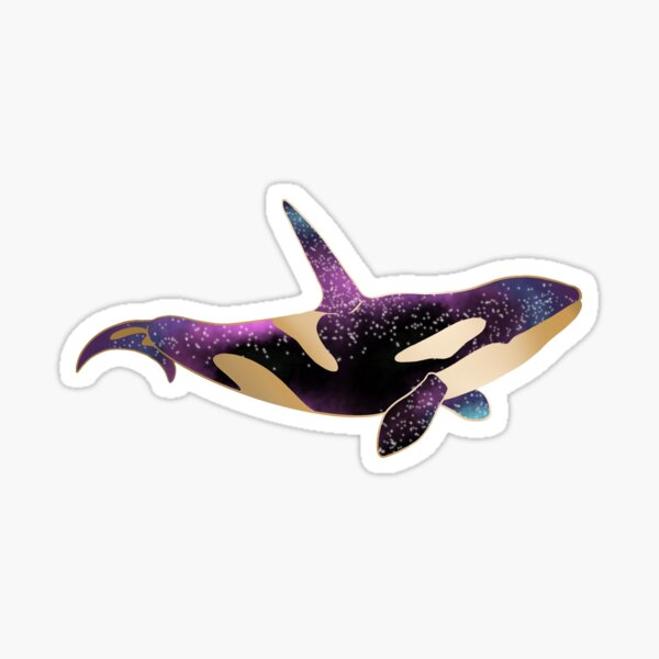 Starry Orca Sticker