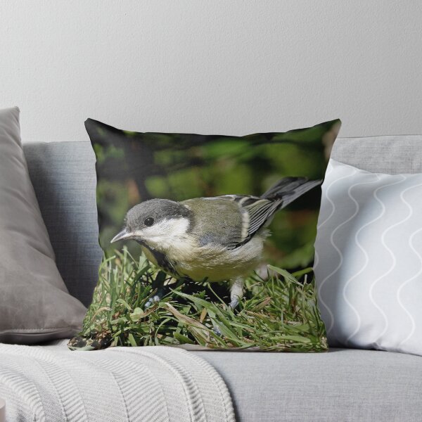 Item preview, r1504/ Super New Finition oiseau mésange Charbonniére  b 34 (c)(t) Olao-Olavia / Okaio Créations   designed and sold by o.okaïo.