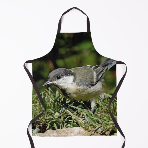 Item preview, r1504/ Super New Finition oiseau mésange Charbonniére b 34 (c)(t) Olao-Olavia / Okaio Créations designed and sold by o.okaïo.