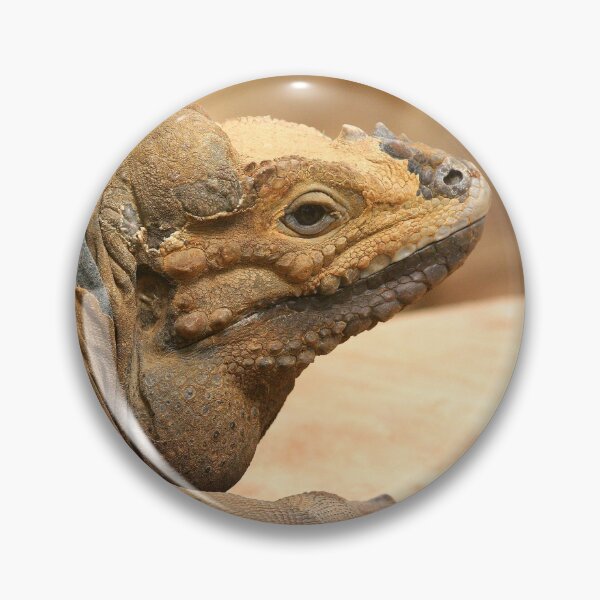Item preview, Lounge Lizard designed and sold by Fearless-Fox.