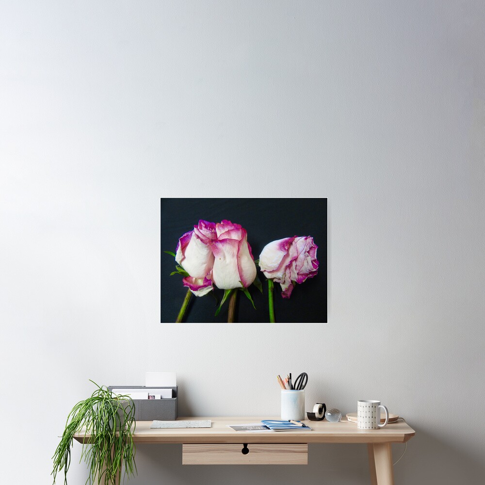 Item preview, Poster designed and sold by Shulie1.