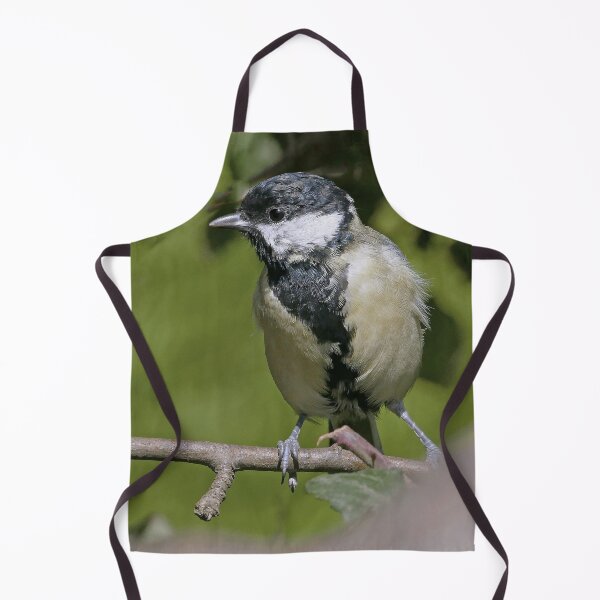 Item preview, r1502/ Super New Finition oiseau mésange Charbonniére b 34 (c)(t) Olao-Olavia / Okaio Créations designed and sold by o.okaïo.