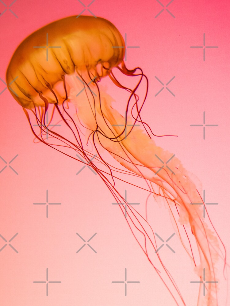 "Jellyfish" Sticker for Sale by dangerouslyclos Redbubble