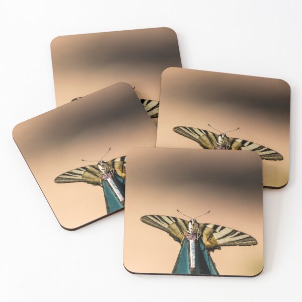 Item preview, Scarce swallowtail butterfly designed and sold by pietrofoto.