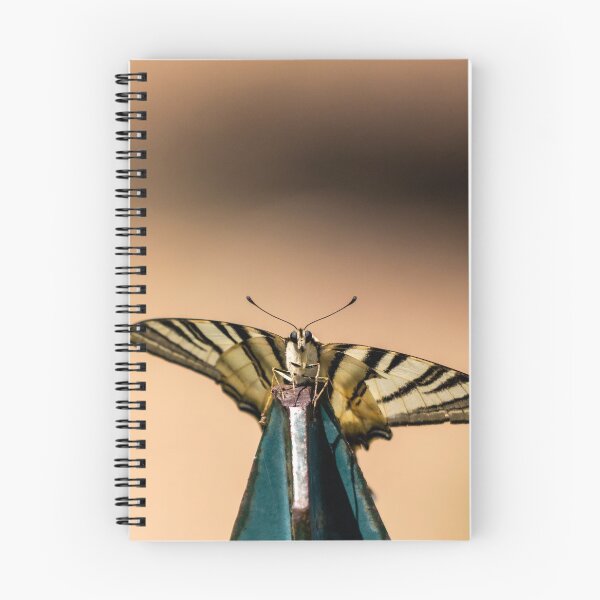 Item preview, Scarce swallowtail butterfly designed and sold by pietrofoto.