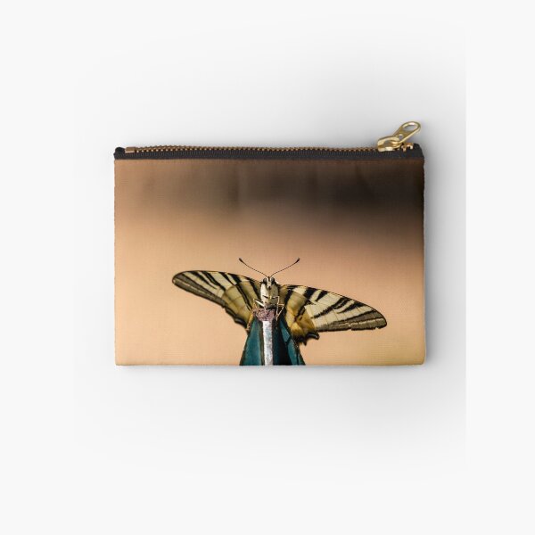Item preview, Scarce swallowtail butterfly designed and sold by pietrofoto.
