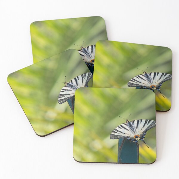 Item preview, Scarce swallowtail butterfly designed and sold by pietrofoto.