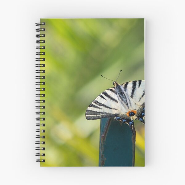 Item preview, Scarce swallowtail butterfly designed and sold by pietrofoto.