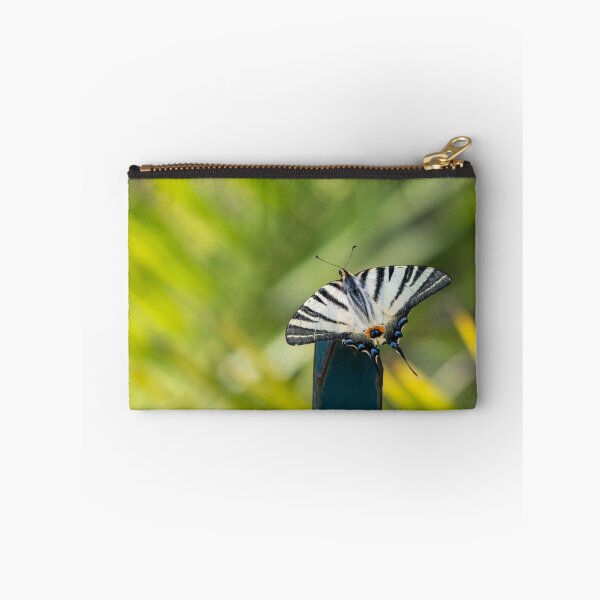 Item preview, Scarce swallowtail butterfly designed and sold by pietrofoto.