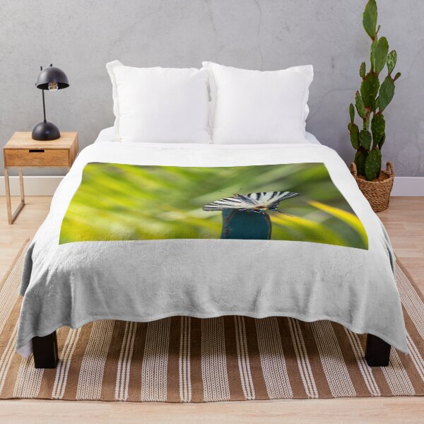 Item preview, Scarce swallowtail butterfly designed and sold by pietrofoto.