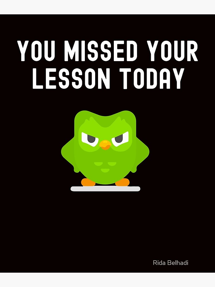 You Missed Your Lesson Today Duolingo Memes Art Print By Redabomx