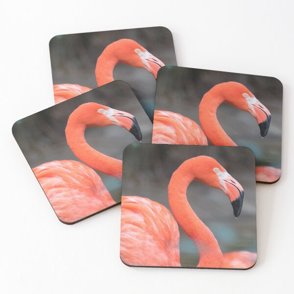 Item preview, Flamingo Dreams designed and sold by Jacquelie.