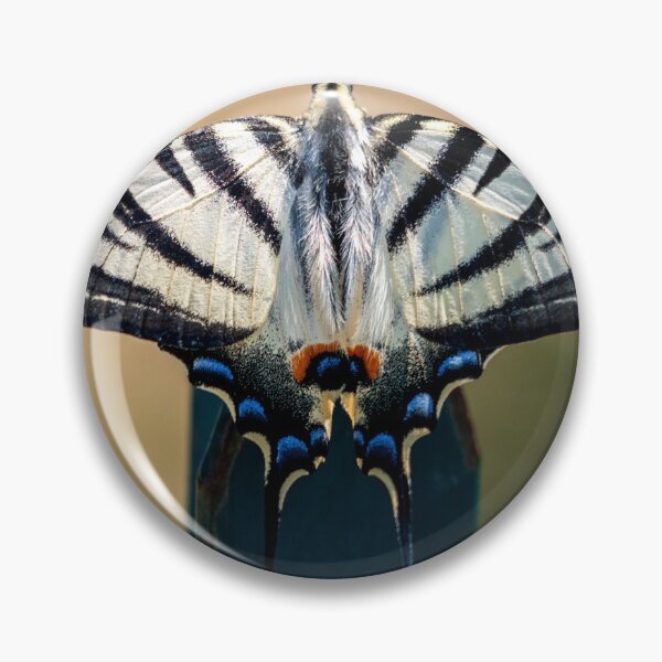 Item preview, Scarce swallowtail butterfly designed and sold by pietrofoto.