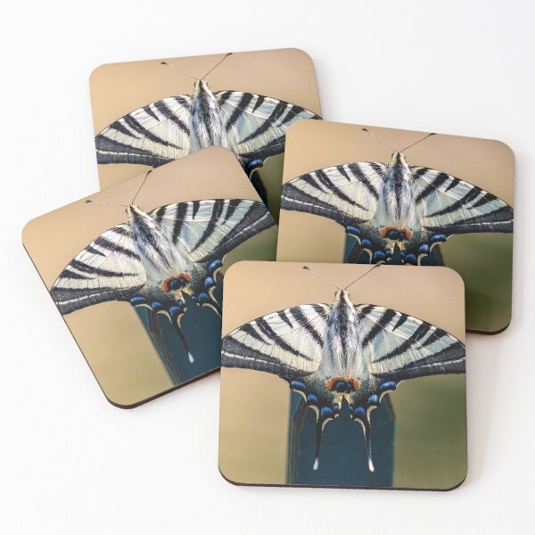 Item preview, Scarce swallowtail butterfly designed and sold by pietrofoto.