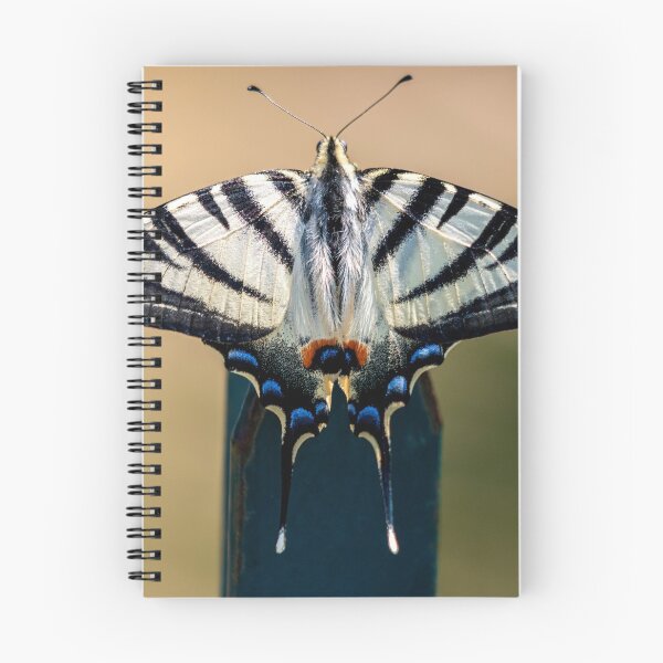 Item preview, Scarce swallowtail butterfly designed and sold by pietrofoto.