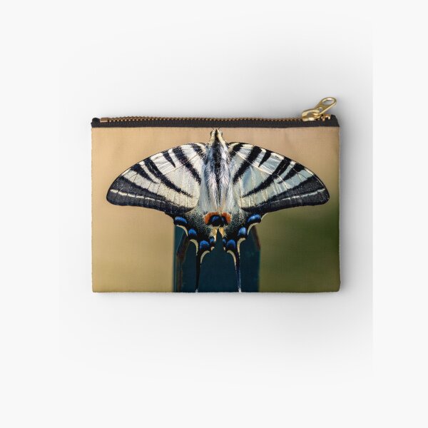 Item preview, Scarce swallowtail butterfly designed and sold by pietrofoto.