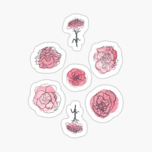 Pink Carnation Pattern Sticker