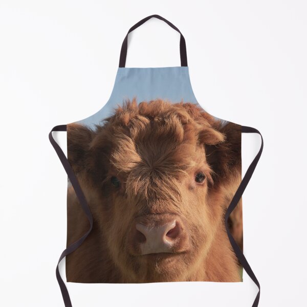 Item preview, Little highlander cow designed and sold by koalas1414.