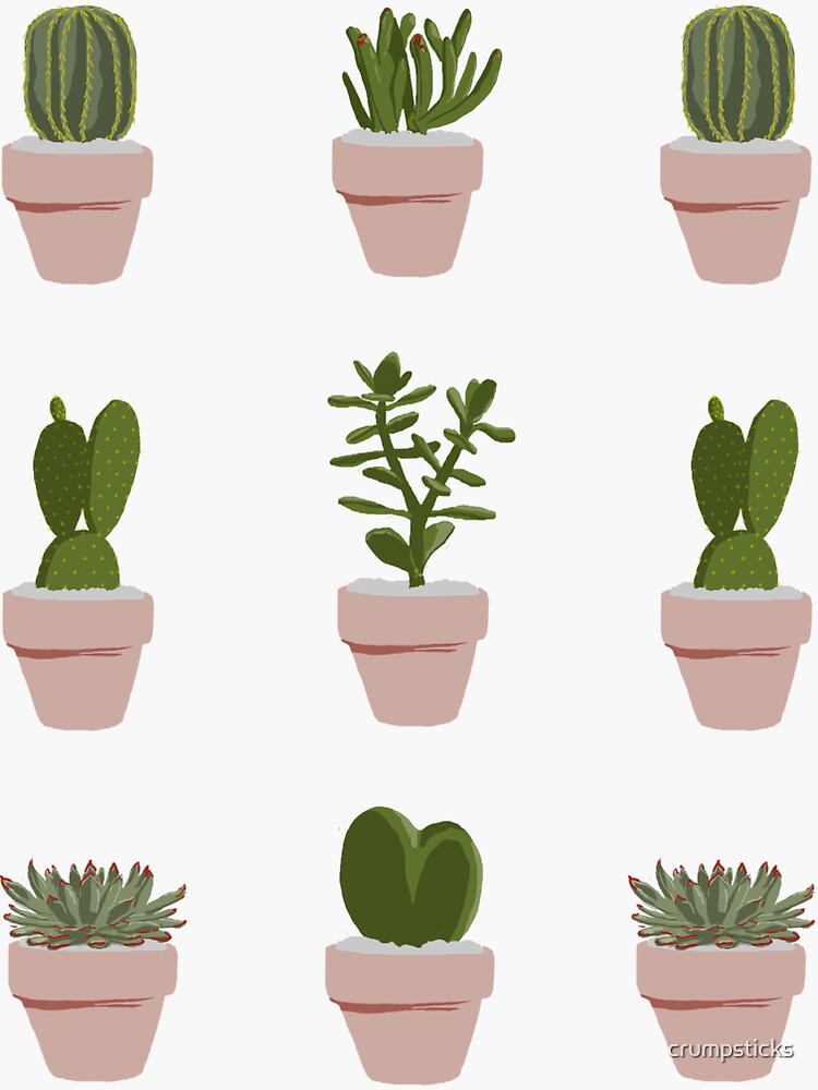 Cacti & Succulent by crumpsticks