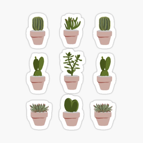 Cacti & Succulent Sticker