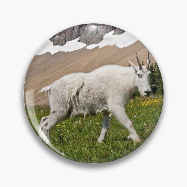 Item preview, Mountain Goat Walking Beneath a Talus Slope designed and sold by Jeff Goulden Photography.