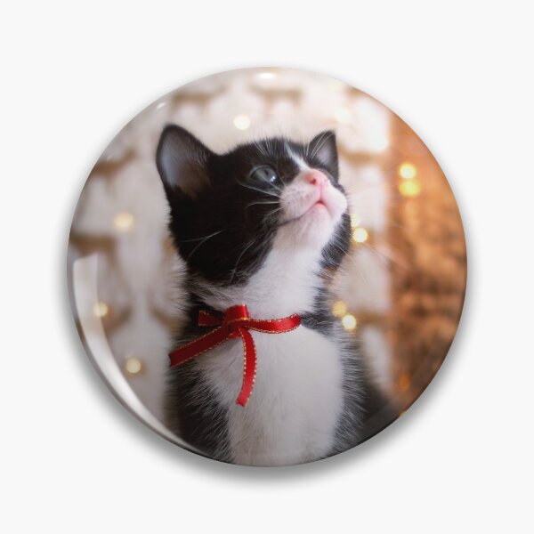 Item preview, Kitten and golden lights designed and sold by fita.