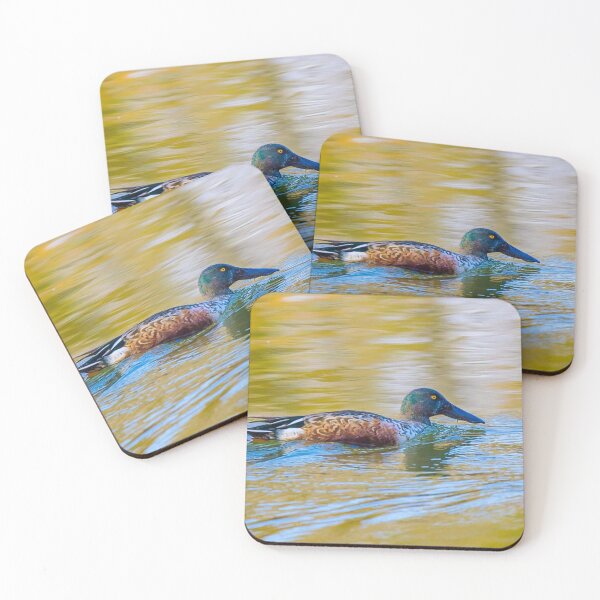 Item preview, Northern Shoveler Drake designed and sold by May Finch.