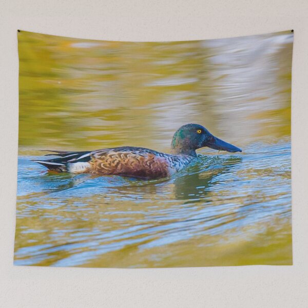 Item preview, Northern Shoveler Drake designed and sold by May Finch.