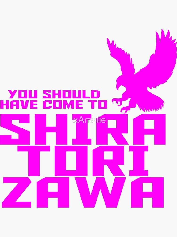 you should have come to shiratorizawa shirt