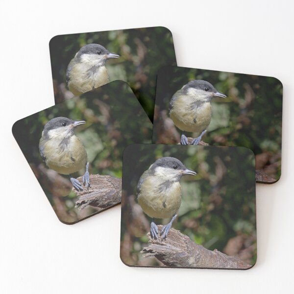 Item preview, r1501/ Super New Finition oiseau mésange Charbonniére b 33 (c)(t) Olao-Olavia / Okaio Créations designed and sold by o.okaïo.