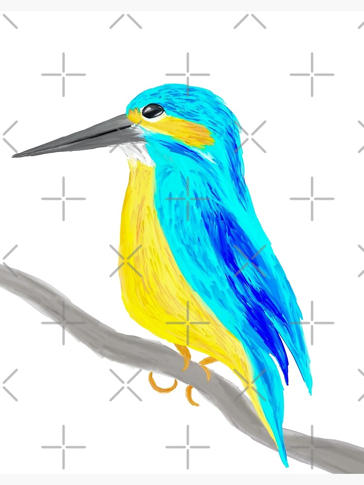 Eastern Blue Bird Drawings for Sale - Fine Art America