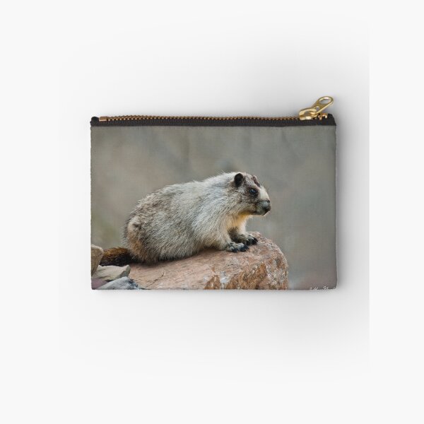 Item preview, Hoary Marmot on a Boulder designed and sold by Jeff Goulden Photography.
