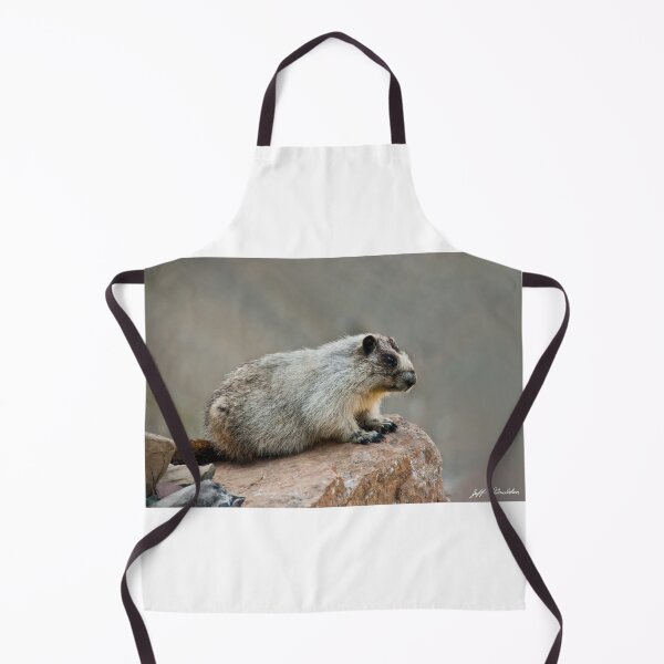 Item preview, Hoary Marmot on a Boulder designed and sold by Jeff Goulden Photography.
