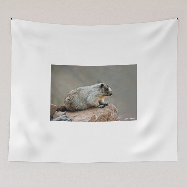 Item preview, Hoary Marmot on a Boulder designed and sold by Jeff Goulden Photography.