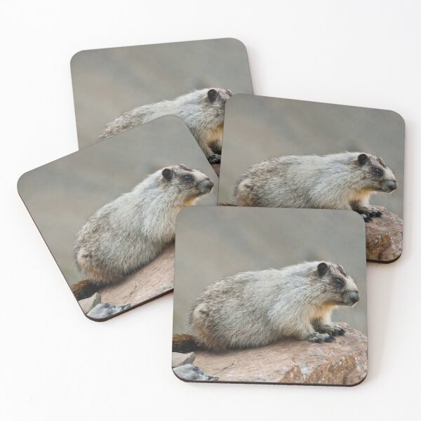 Item preview, Hoary Marmot on a Boulder designed and sold by Jeff Goulden Photography.