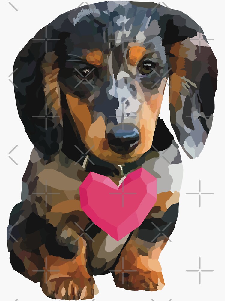 dachsund-valentine-miniature-dachsund-with-heart-illustration