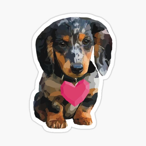 dachsund-valentine-miniature-dachsund-with-heart-illustration-sticker-for-sale-by