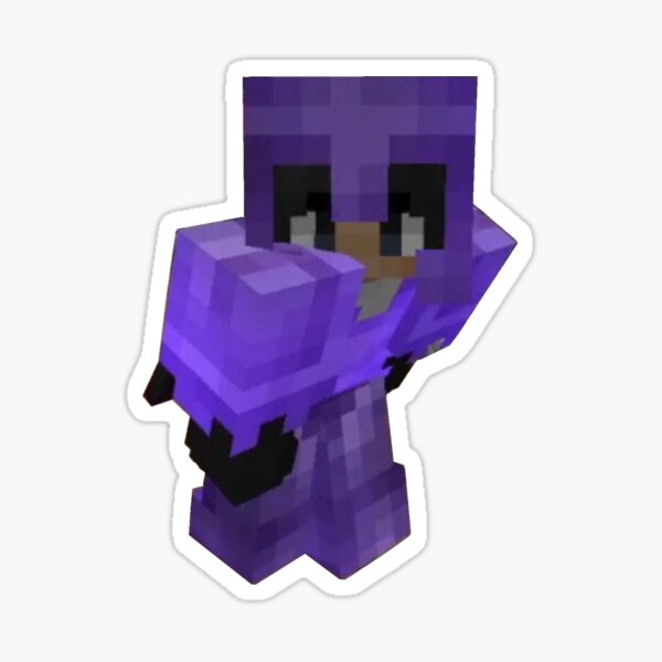 Sapnap Minecraft Stickers for Sale