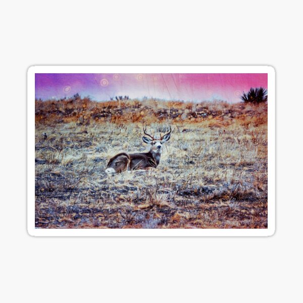 Mule Deer Buck Geschenke Merchandise Redbubble